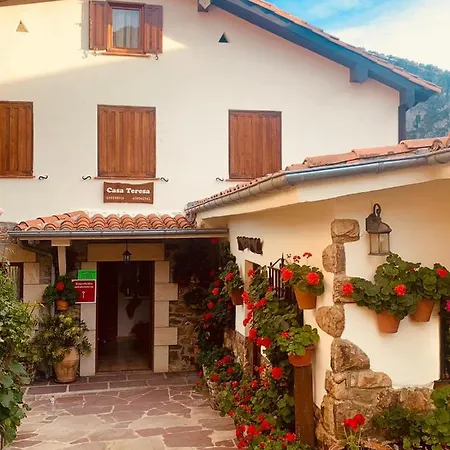 Casa Teresa Camaleño
